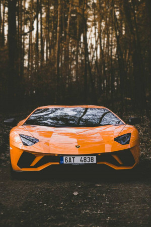 Front view of a bright orange Lamborghini Aventador parked in a forest