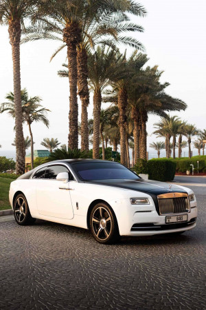 White Rolls Royce parked on a palm lined street with ocean view