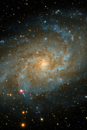 A stunning image of the spiral galaxy NGC 2976, showcasing its intricate structure and vibrant colors.