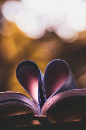 Open book with pages curled into a heart shape, soft focus