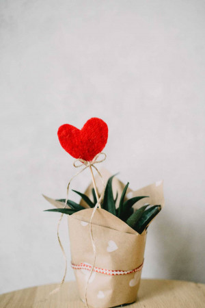 A small potted plant with a red heart-shaped flower on a stick.
