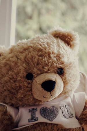 Close-up of a brown teddy bear wearing a shirt with 'I Love You' on it.