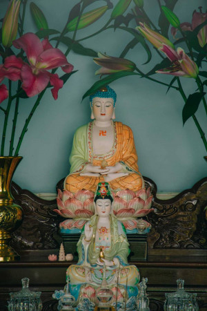 A serene Buddha statue with pink lilies in the background.