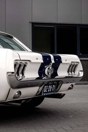 Rear view of a vintage white Ford Mustang with blue racing stripes