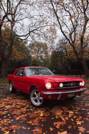 A red 1965 Ford Mustang parked on a tree-lined street covered in autumn leaves.