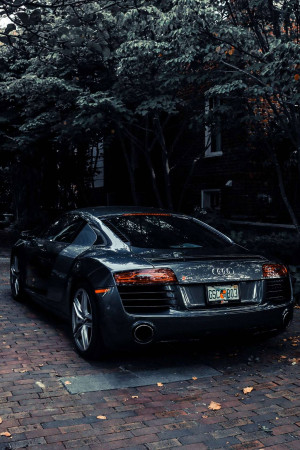 Black Audi R8 parked on a brick road surrounded by trees