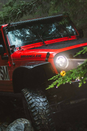 Close-up of a red Jeep Wrangler driving through a forest