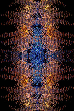 Close-up abstract image resembling cellular structures in blue and orange