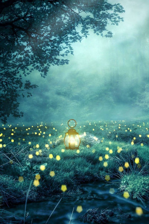 A glowing lantern illuminates a magical forest filled with fireflies.