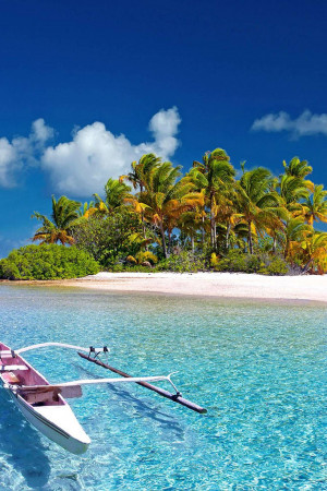 A pristine tropical island with a white sandy beach, turquoise water, and palm trees.