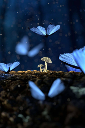 Glowing blue butterflies fluttering around mushrooms in a dark forest