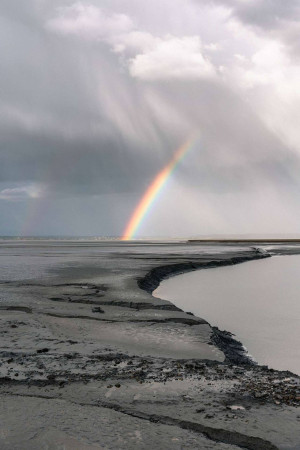 A vibrant rainbow arches over a flat, marshy landscape under a cloudy sky.