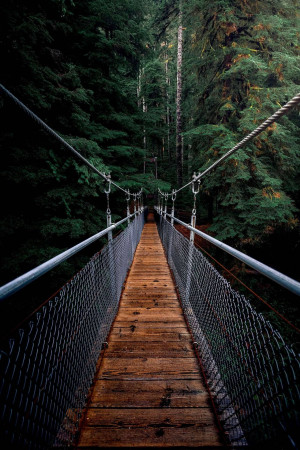 A wooden suspension bridge stretching through a dense, green forest.