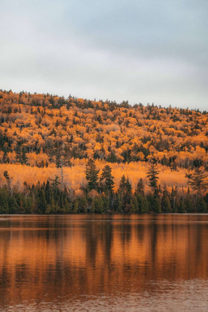 A serene landscape of a lake reflecting a hillside covered in vibrant autumn foliage.
