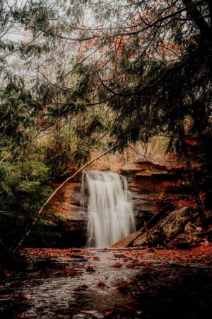 A scenic view of a waterfall cascading over rocks surrounded by autumn foliage.