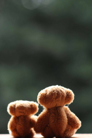 Two teddy bears sitting back to back on a wooden surface with a blurred green background.