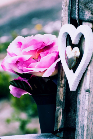 A white wooden heart decoration hanging next to a vibrant pink rose in a black pot.