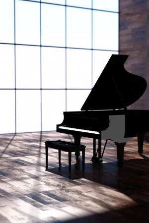Black grand piano silhouette in a bright room