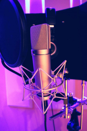 Close-up of a professional studio microphone with shock mount and pop filter.