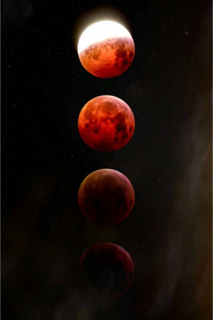 A vertical image showing the stages of a lunar eclipse with the moon transitioning from full to fully eclipsed.