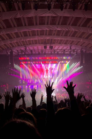 A silhouetted crowd with hands raised at a concert, illuminated by vibrant stage lights.