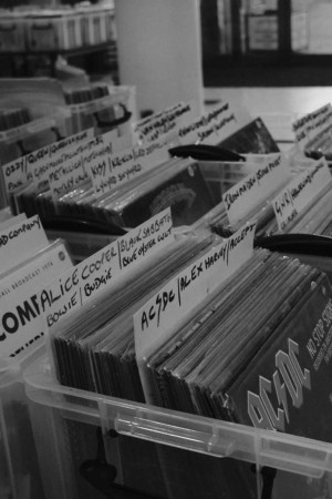 Close-up of vinyl records in storage crates, showcasing artists like AC/DC, Alice Cooper, and Black Sabbath.