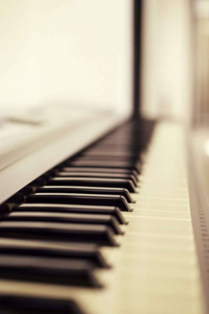 Close-up of black and white piano keys with a shallow depth of field