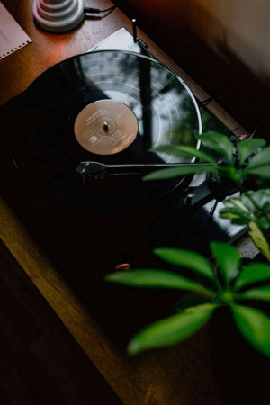 Close-up of a black vinyl record spinning on a record player with a plant in the background.