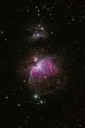 A stunning long-exposure photograph of the Orion Nebula, showcasing vibrant pink and blue hues against a backdrop of countless stars.