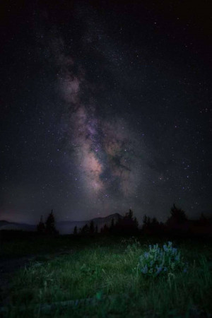 Night landscape with the Milky Way galaxy visible above a grassy meadow and silhouetted mountains.
