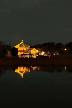 A traditional Japanese temple building illuminated at night, reflected in a calm body of water.