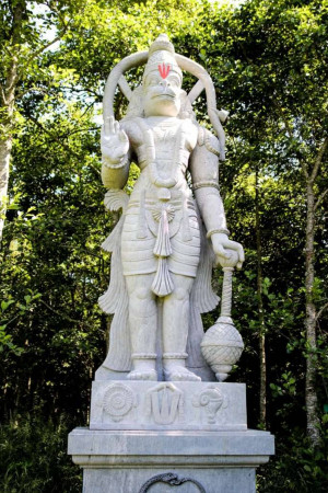 Stone statue of Lord Hanuman in a lush green garden