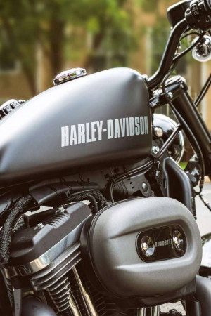 Close-up of a black Harley-Davidson motorcycle tank and engine