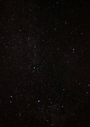 A dark night sky filled with numerous stars.