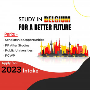 Study in Belgium promotional image with city skyline and information about scholarships and university applications.