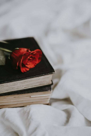 A single red rose resting on top of a stack of books with a white linen background.