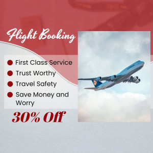 Flight booking advertisement with a plane in the sky and a 30% off offer.