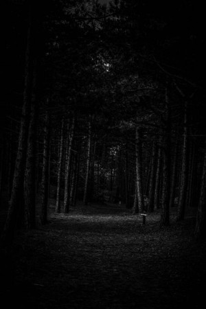 A dark and mysterious path leading into a dense forest.