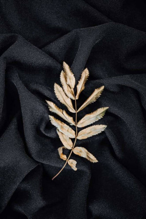 A single dried leaf resting on a textured black fabric background.