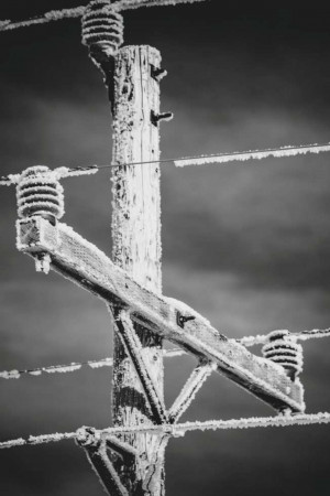 Black and white image of frost-covered power lines and wooden pole