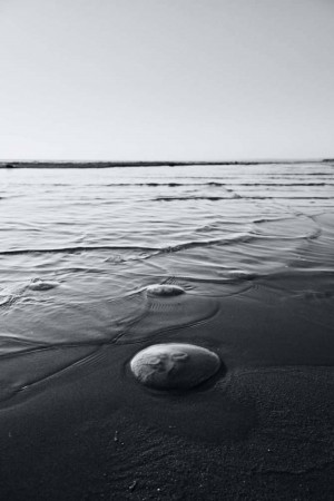 Black and white photograph of ocean waves washing over smooth stones on a beach.