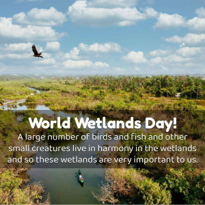 Aerial view of wetlands with text 'World Wetlands Day!'