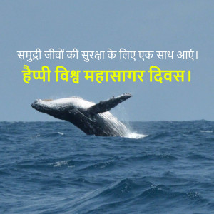 Humpback whale breaching the ocean surface with text in Hindi celebrating World Oceans Day.