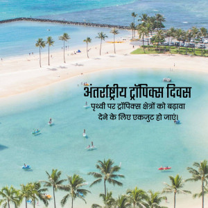 Aerial view of a tropical beach with palm trees and turquoise water, with text overlay for International Tropical Day.