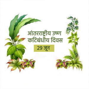 Image commemorating International Day of Forests with lush green foliage and text in Marathi.