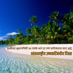 A beautiful tropical beach with palm trees, white sand, and turquoise water.