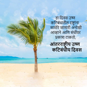 Palm tree swaying in the wind on a beach with text in Marathi