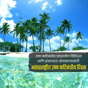 Palm trees and turquoise water on a tropical beach with text in Marathi.
