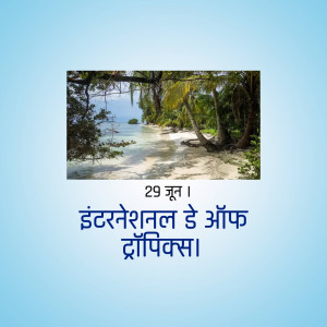 Scenic view of a tropical beach with palm trees and turquoise water