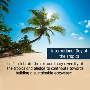 Palm tree on a tropical beach with text celebrating International Day of the Tropics
